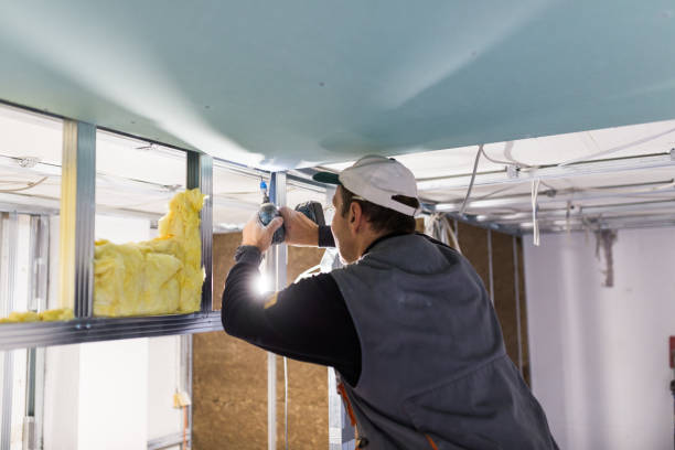 Best Insulation for Specific Applications in Belle Chasse, LA