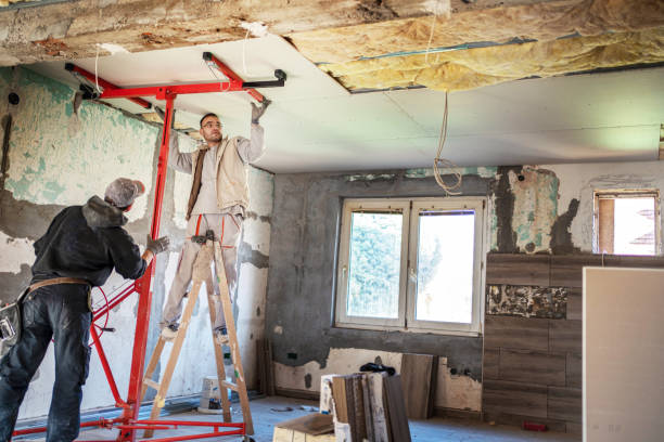 Types of Insulation We Offer in Belle Chasse, LA