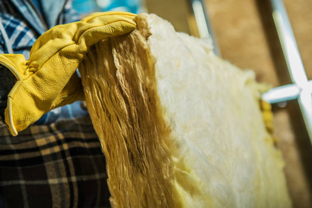 Best Commercial Insulation in Belle Chasse, LA