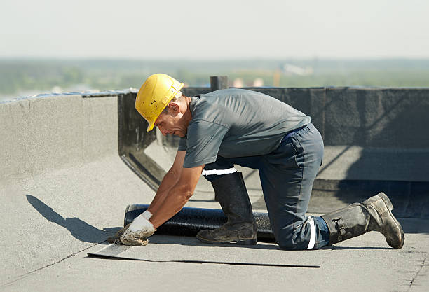 Best Specialized Insulation Services in Belle Chasse, LA