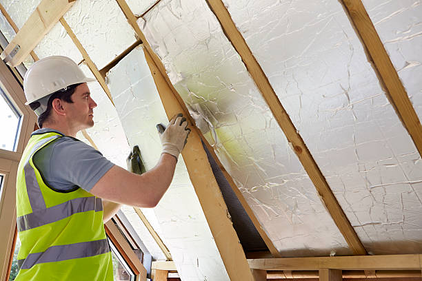 Best Energy Efficiency Insulation in Belle Chasse, LA