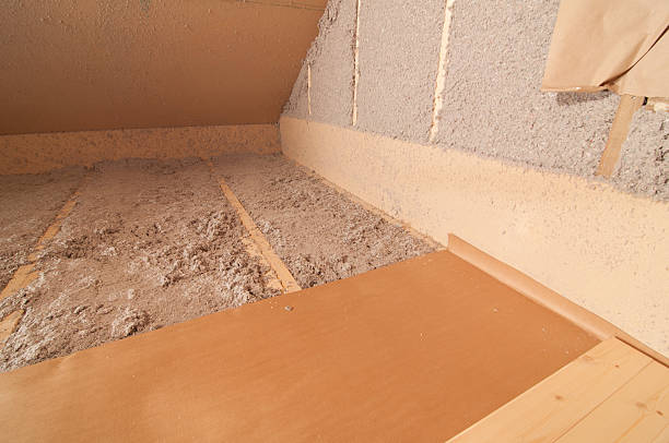 Best Cellulose Insulation in Belle Chasse, LA