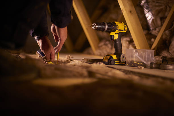 Best Specialized Insulation Services in Belle Chasse, LA